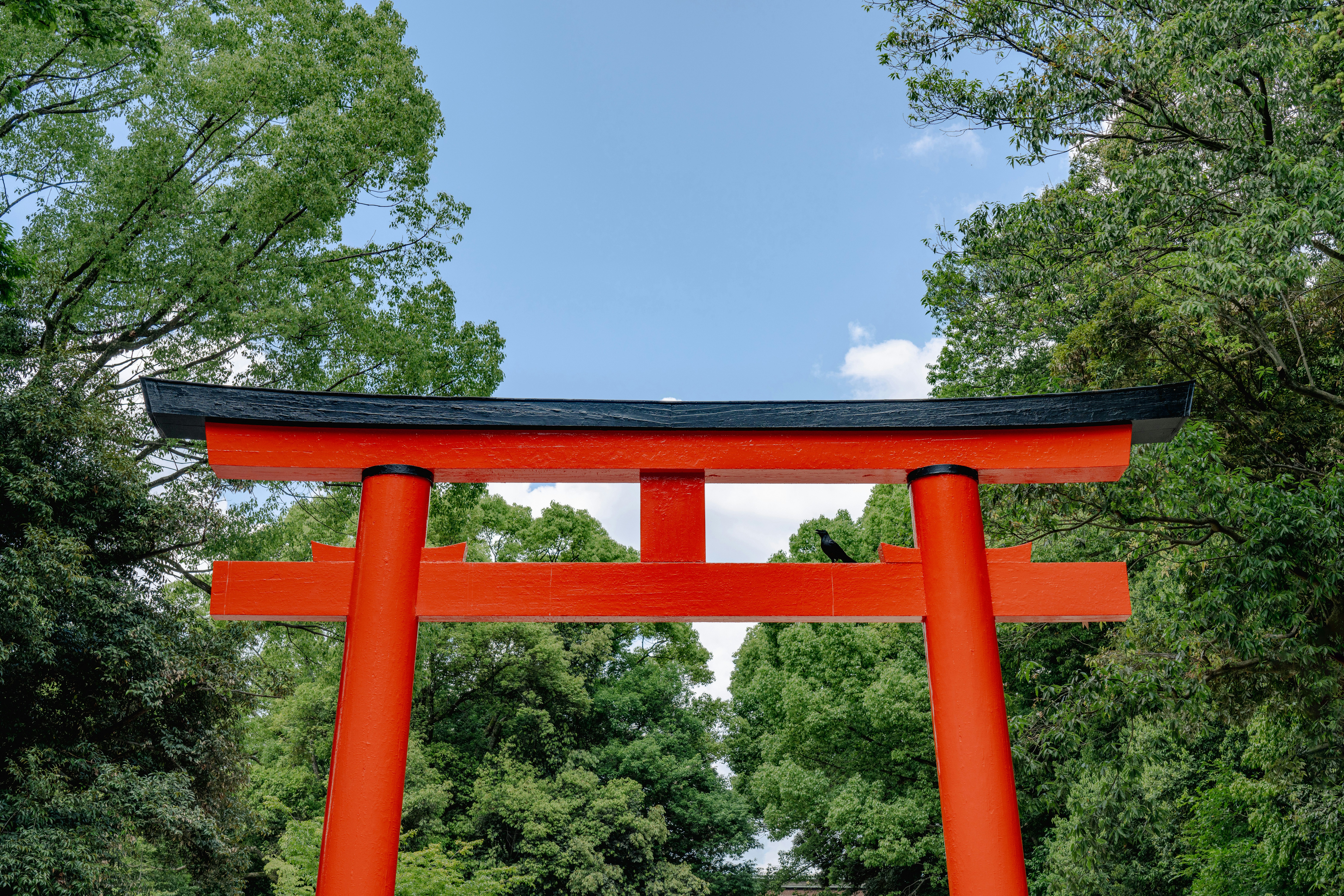 도심 속 토리이의 미스터리: 빌딩 숲과 전철역이 신성한 공간을 이기지 못한 이유